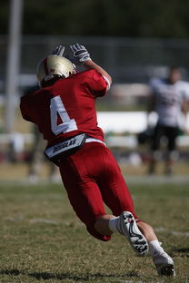 星空app官网下载-五大联赛争冠球队出场阵容中缺席后的战术重构，五大联赛全胜夺冠的球队  第3张